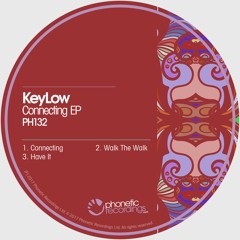 Have it (Original Mix)OUT NOW