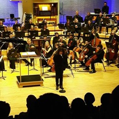 Mantle - for orchestra (2016)