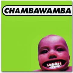 Steerner vs. Avicii (CHAMBAWAMBA Twerkuppp)