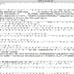 0001 3-Audio.aif
