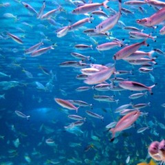 Ocean - Sad Piano Song