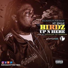 Birdz Up N Here