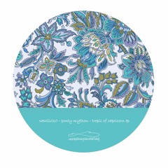 PREMIERE: Ponty Mython - Tropic Of Capricorn [wewillalwaysbealovesong]
