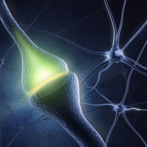 Synapsentapsen - Blank Vision