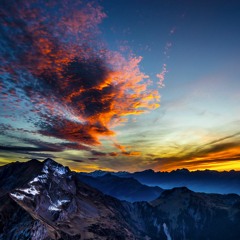 Sleepless in New York City - Ray