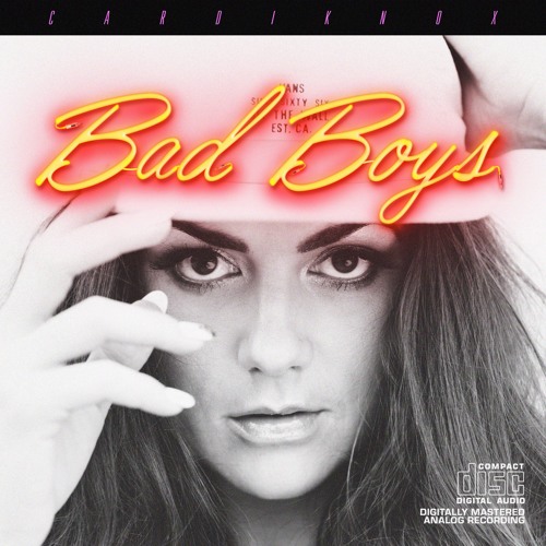 The Bad Boy by Emilia Rose The Bad Boy by Emilia Rose