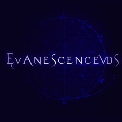 Evanescence - Take Cover (Live)