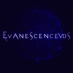 Evanescence - The Change Live