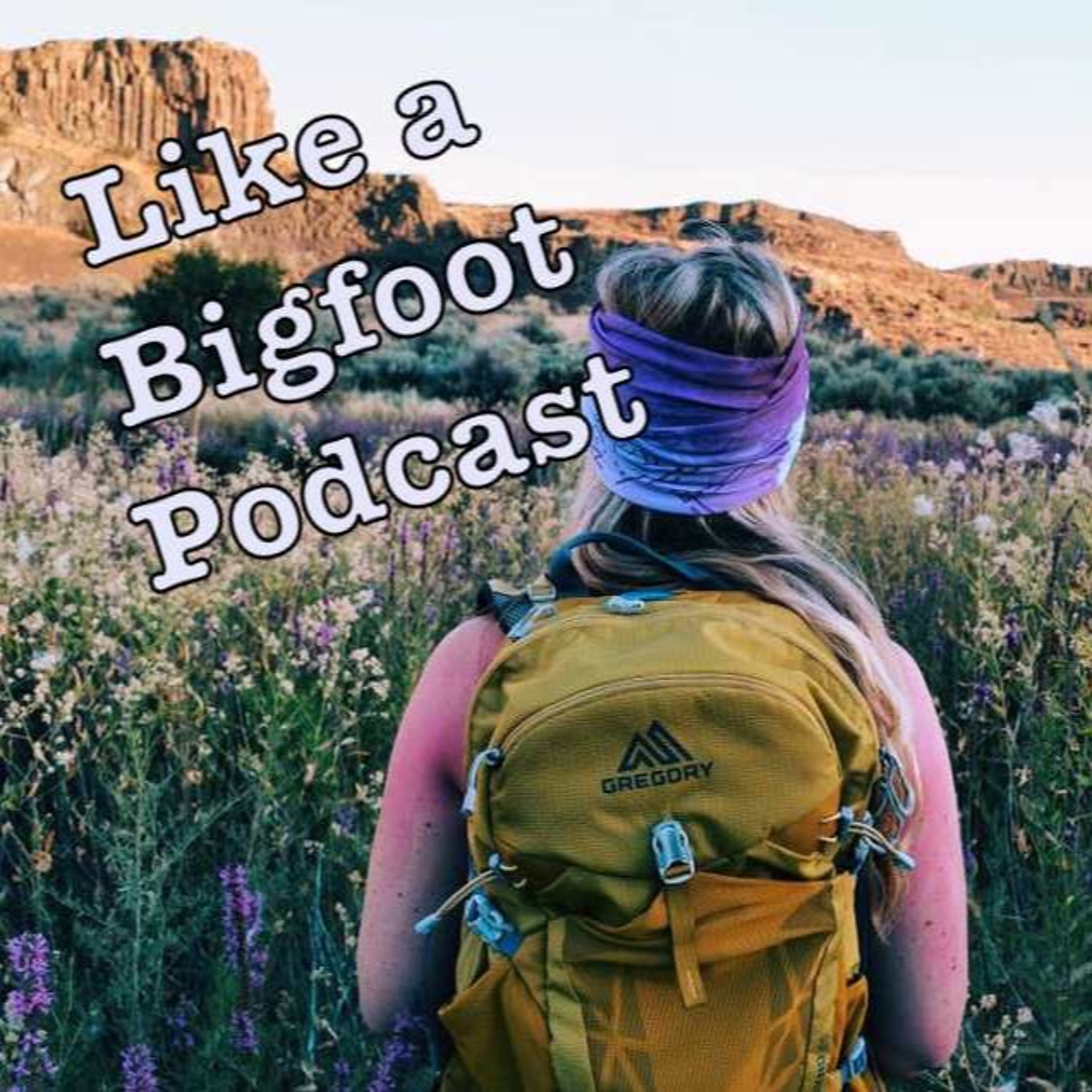 #58: Jennifer Mabus -- "The Whimsical Woman" Preparing to Hike the Pacific Crest Trail episode artwork