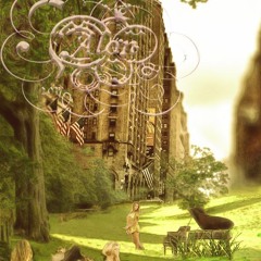 The 30 minutes freestyle