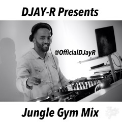 Jungle Gym Mix
