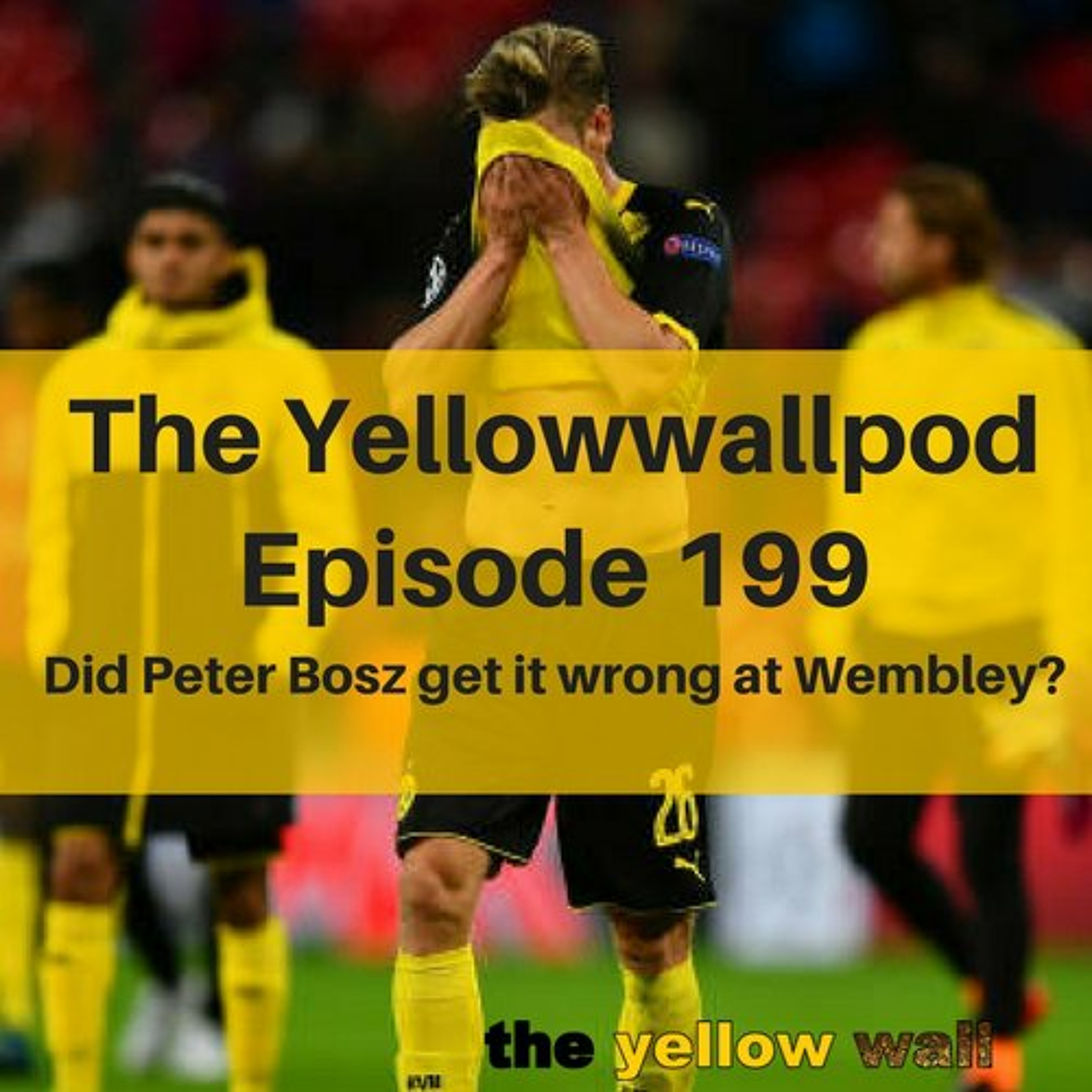 Yellowwallpod