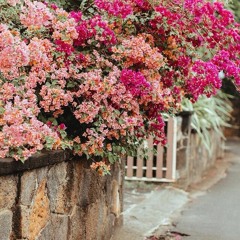 حياة 4