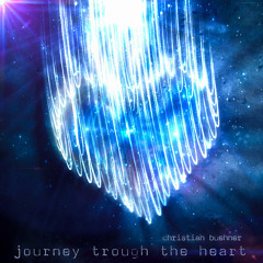 Journey through the heart