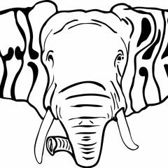 Bath Party - Ejército de Desorden