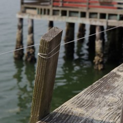 Whidbey Island Pier Fishing Line