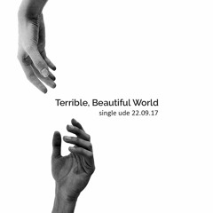 Jeppe Lindegaard - Terrible, Beautiful World