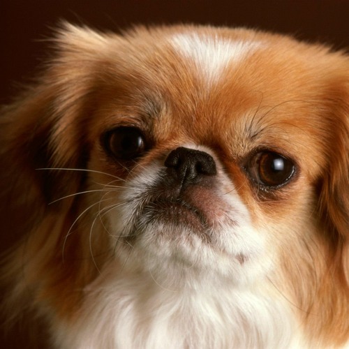 Acid Collision [Dark Hitech Experimental]