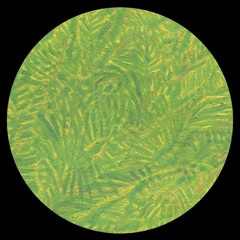 IT034 DONA VS. DJ PLANT TEXTURE - THE BONGOMAN ARCHIVE
