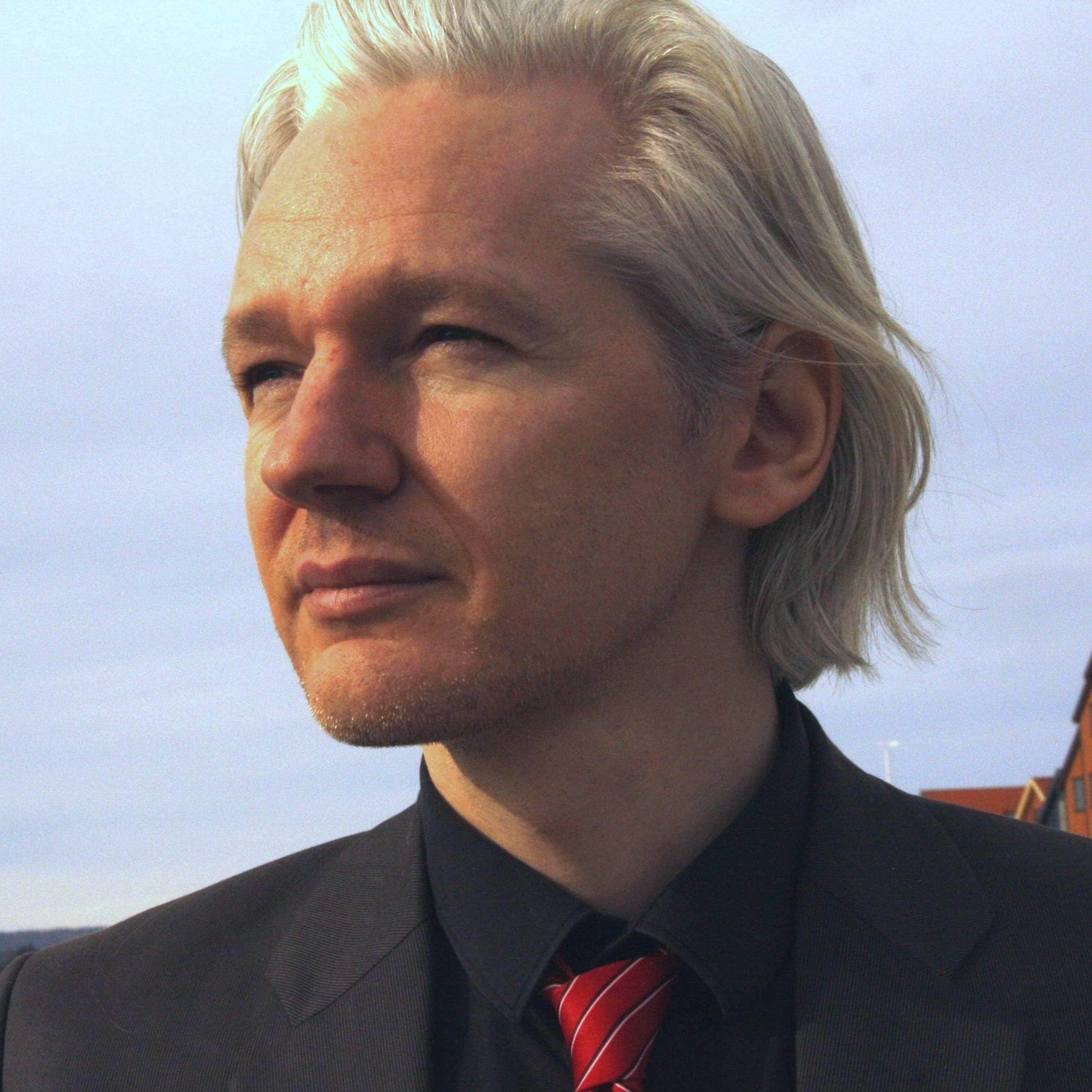 Julian Assange (Sample) episode artwork