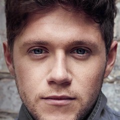 Niall Horan - Too much to ask