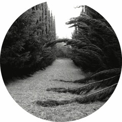 Ladan - Section