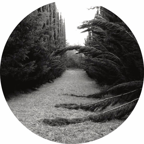 Ladan - Section