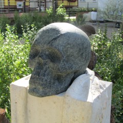 Fortune Son- free download-