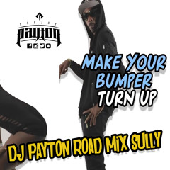 DJ Payton X Ricky T - Sully [Payton Roadmix]