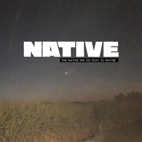 Stream NATIVE MIX 012 DJ WAYNE by NATIVE SOUND SYSTEM Listen online for free on SoundCloud