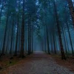 Lost