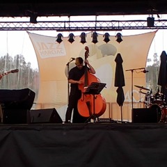 Baby Please Don't Leave Me (Buddy Guy) LIVE JIM2017