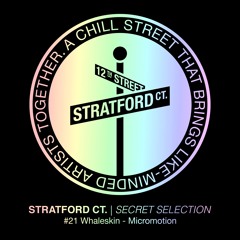 Whaleskin - Micromotion [Secret Selection]