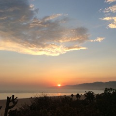 Tail Lights in Other States