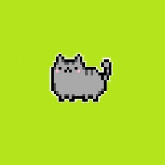 the cat in the adidas sweater