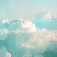 New Shirt On The Back