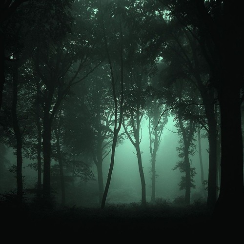 Hexemod - Savage Wrist (Verilog Amazonia Trip Remix) [TEASER]
