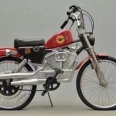 Harley Schwinn