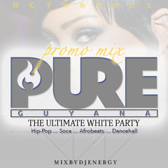 PURE GUYANA PROMO MIX