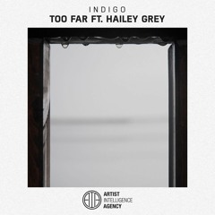 Too Far (ft. Hailey Grey)