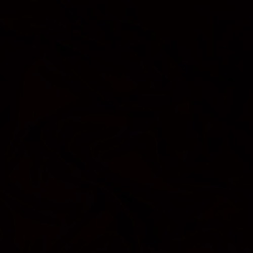 not gonna sleep [Prod. The Wild Dutchman]