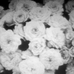 Crystal Castles - Suffocation (Reversed)