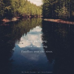 Fireflies over the river (Naviarhaiku 193)