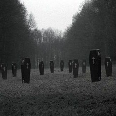 Mr C - Casket