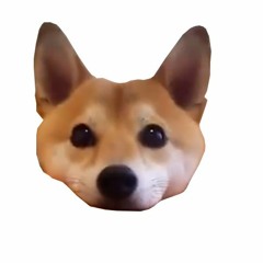 BasssssssssHoussssssssssse [WIP]