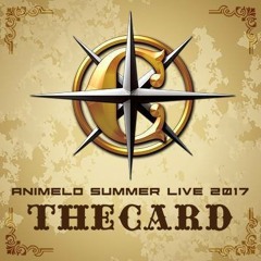 Animelo Summer Live 2017-Playing The World