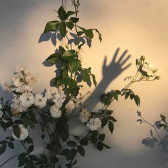 11_