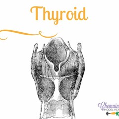 #046 Thyroid part 3 - how to test if your Thyroid is healthy
