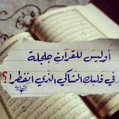 كم في يومك من قرآن❤❤