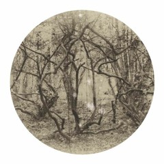 DPRTNDRP - Malawi